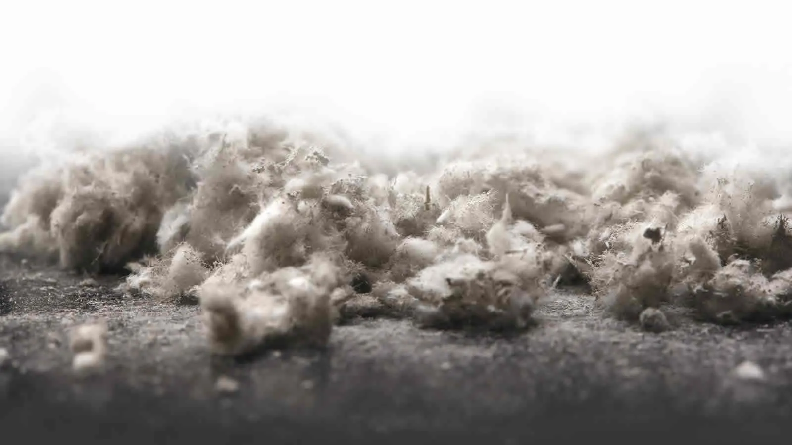 Asbestos Removal North West